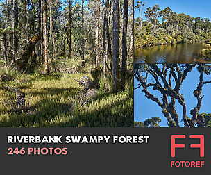 246 photos of Riverbank Swampy Forest
