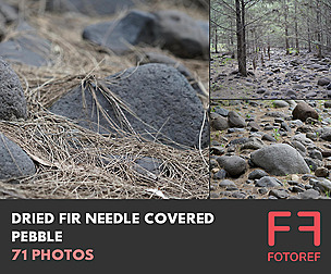 71 photos of Dried Fir Needle Covered Pebble