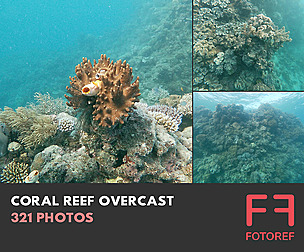 321 photos of Coral Reef Overcast