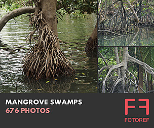 676 photos of Mangrove Swamps