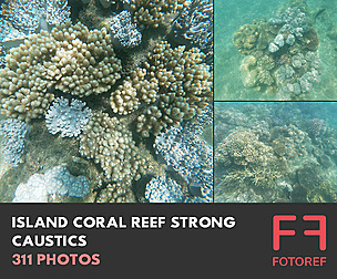 311 photos of Island Coral Reef Strong Caustics
