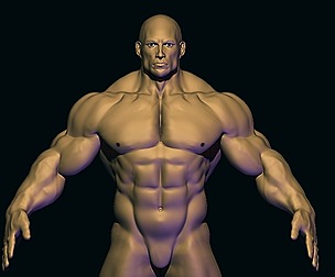 bodybuilder base mesh