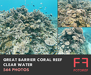 564 photos of Great Barrier Coral Reef Clear Water