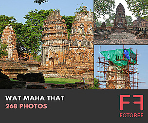268 photos of Wat Maha That