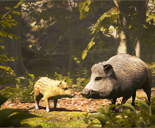 Animalia - Wild Boar (pack)
