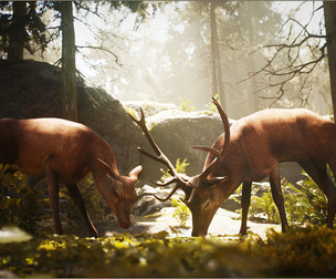 Animalia - Red Deer (pack)