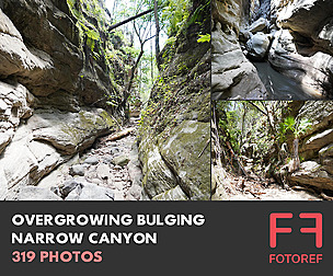 319 photos of Overgrowing Bulging Narrow Canyon