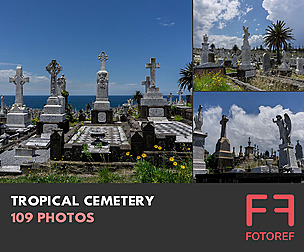 109 photos of Tropical Cemetery