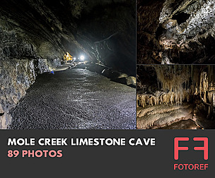 89 photos of Mole Creek Limestone Cave