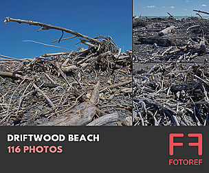116 photos of Driftwood Beach