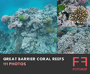 111 photos of Great Barrier Coral Reefs