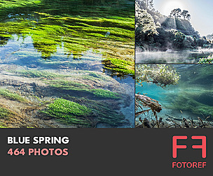 464 photos of Blue Spring