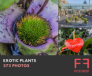 573 photos of Exotic Plants