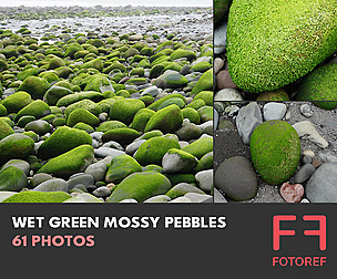 61 photos of Wet Green Mossy Pebbles