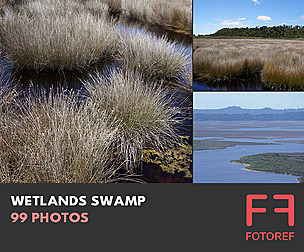 99 photos of Wetlands Swamp