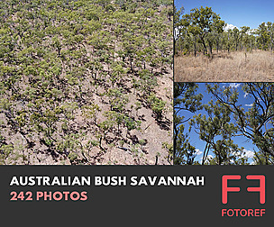 242 photos of Australian Bush Savannah
