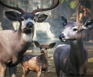 Animalia - Mule Deer (pack)