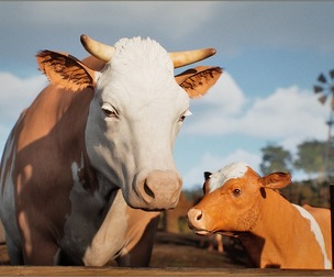 Animalia - Cow (pack)