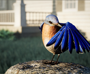 Animalia - Bluebird