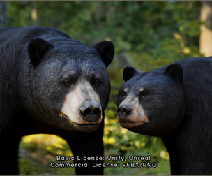 Animalia - Black Bear (pack)