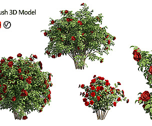 3 Red Rose Flower Bush Low Poly