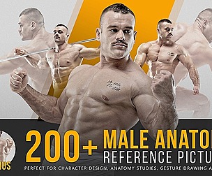 200+ Male Anatomy Reference Pictures