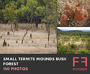 150 photos of Small Termite Mounds Bush Forest