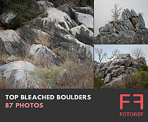 87 photos of Top Bleached Boulders