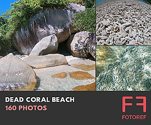 160 photos of Dead Coral Beach
