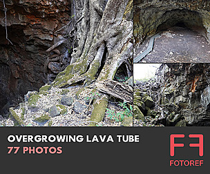 77 photos of Overgrowing Lava Tube
