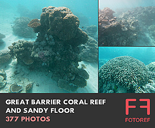 Great Barrier Coral Reef and Sandy Floor