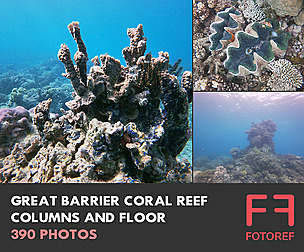 Great Barrier Coral Reef Columns and Floor