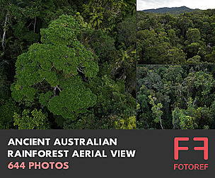 Ancient Australian Rainforest Aerial View