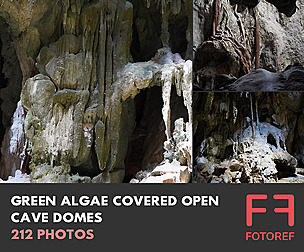 212 photos of Green Algae Covered Open Cave Domes
