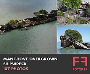 107 photos of Mangrove Overgrown Shipwreck