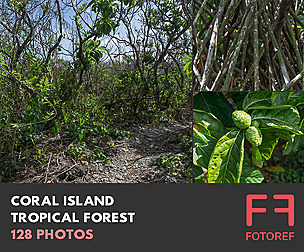 128 photos of Coral Island Tropical Forest