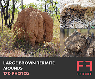 170 photos of Large Brown Termite Mounds