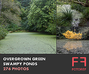 276 photos of Overgrown Green Swampy Ponds