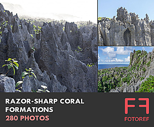 280 photos of Razor-Sharp Coral Formations