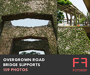 159 photos of Overgrown Road Bridge Supports