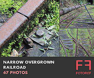 67 photos of Narrow Overgrown Railroad