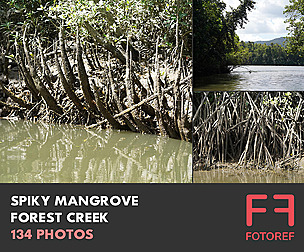 134 photos of Spiky Mangrove Forest Creek