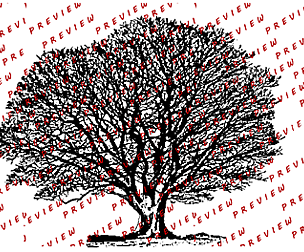Tree / forest images