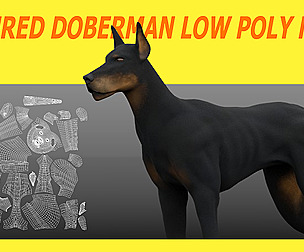 TEXTURED DOBERMAN LOW POLY MODEL