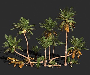 Modular Coconut Palm Trees - Cocos Nucifera