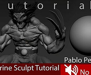 Wolverine Tutorial