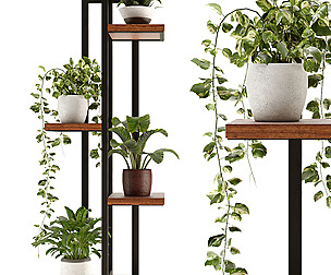 Collection Indoor Plants Set Nim03