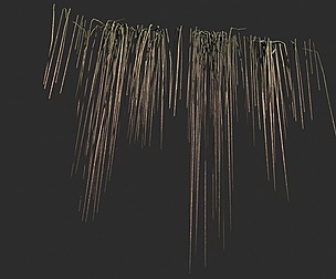 Root Vines Fall