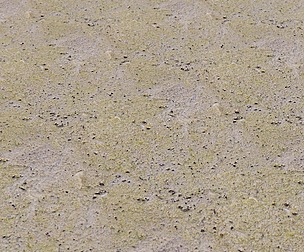 Yellow Morass 1