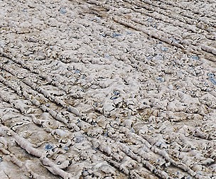 Mud Tracks 1